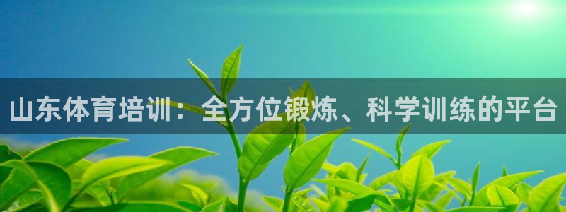 山东体育培训：全方位锻炼、科学训练的平台