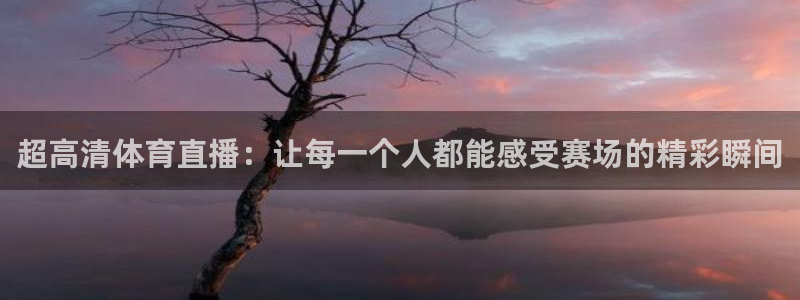 超高清体育直播：让每一个人都能感受赛场的精彩瞬间