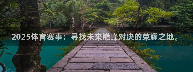 2025体育赛事：寻找未来巅峰对决的荣耀之地。