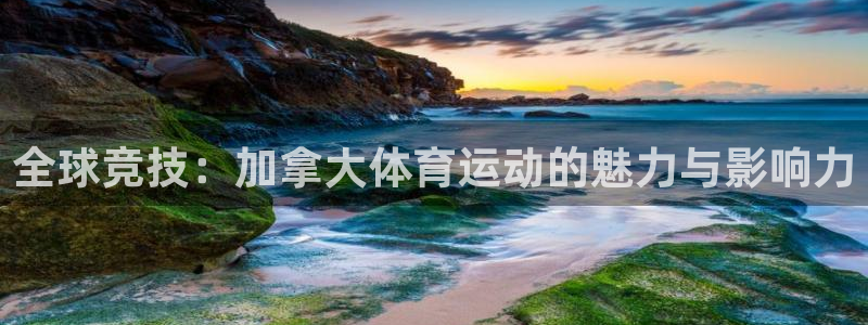 全球竞技：加拿大体育运动的魅力与影响力