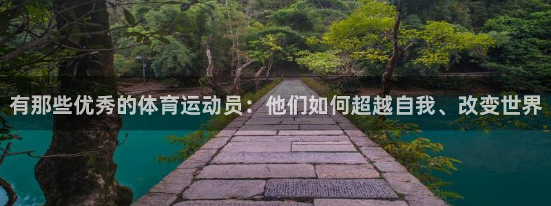 有那些优秀的体育运动员：他们如何超越自我、改变世界