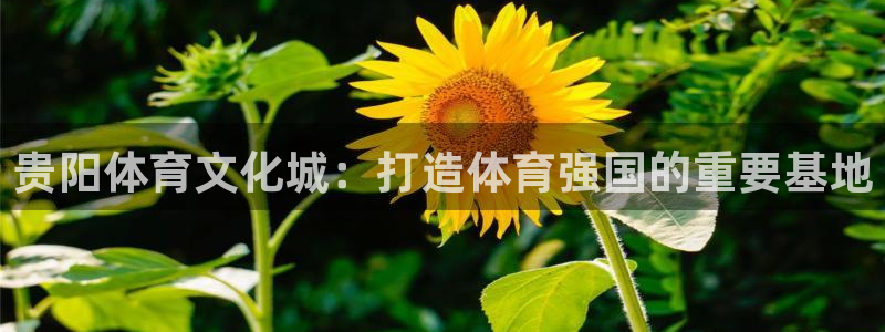 贵阳体育文化城：打造体育强国的重要基地