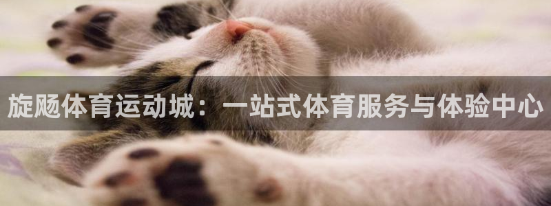 旋飏体育运动城：一站式体育服务与体验中心
