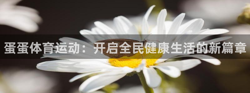 蛋蛋体育运动：开启全民健康生活的新篇章