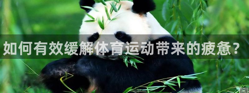 如何有效缓解体育运动带来的疲惫？