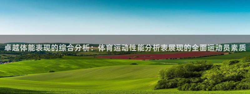 卓越体能表现的综合分析：体育运动性能分析表展现的全面运动员素质