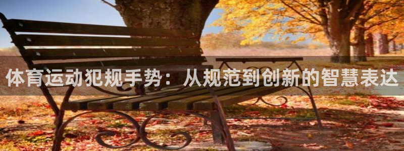 体育运动犯规手势：从规范到创新的智慧表达