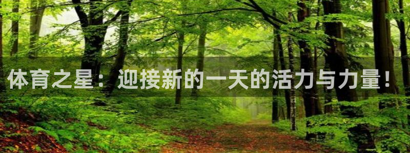 体育之星：迎接新的一天的活力与力量！