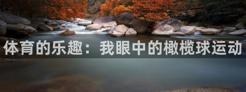 体育的乐趣：我眼中的橄榄球运动