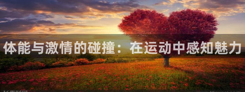 体能与激情的碰撞：在运动中感知魅力