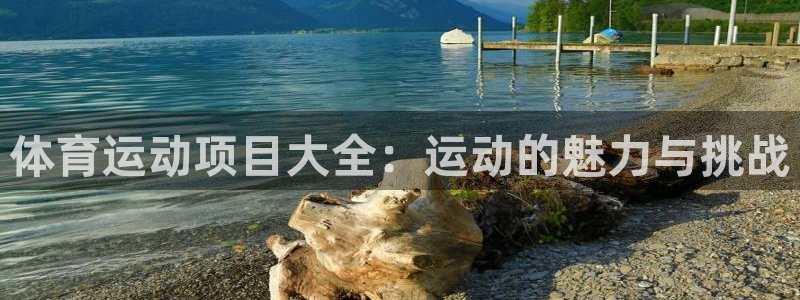 体育运动项目大全：运动的魅力与挑战