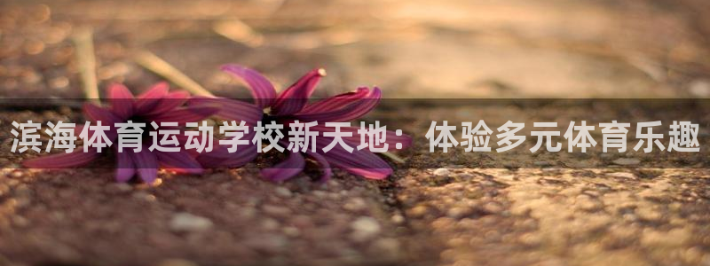 滨海体育运动学校新天地：体验多元体育乐趣