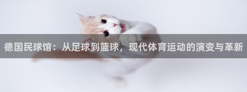 德国民球馆：从足球到篮球，现代体育运动的演变与革新