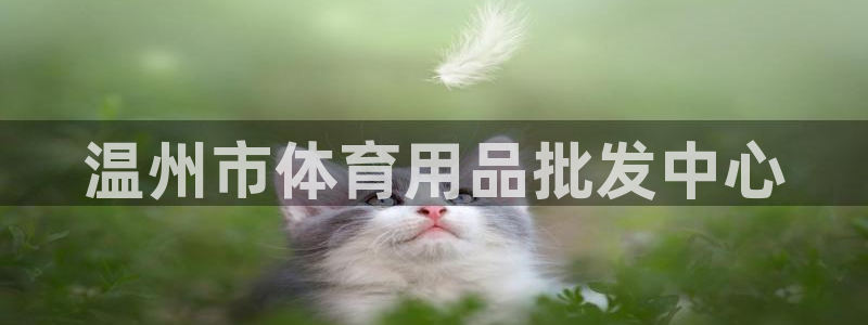温州市体育用品批发中心