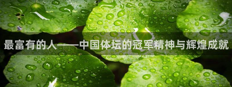 最富有的人——中国体坛的冠军精神与辉煌成就