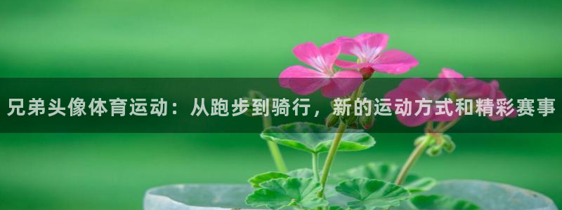 兄弟头像体育运动：从跑步到骑行，新的运动方式和精彩赛事
