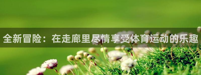 全新冒险：在走廊里尽情享受体育运动的乐趣