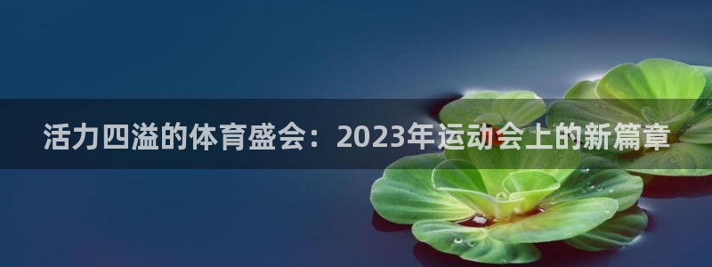 活力四溢的体育盛会：2023年运动会上的新篇章
