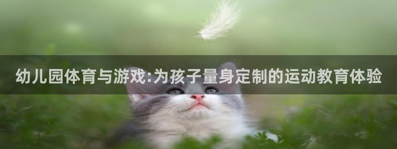幼儿园体育与游戏:为孩子量身定制的运动教育体验