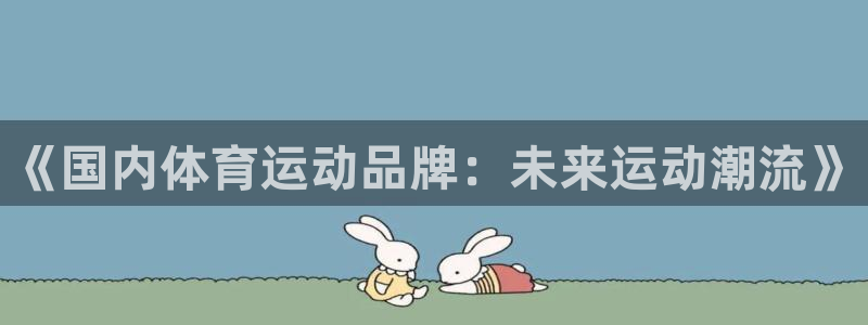 《国内体育运动品牌：未来运动潮流》