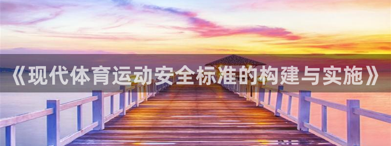 《现代体育运动安全标准的构建与实施》