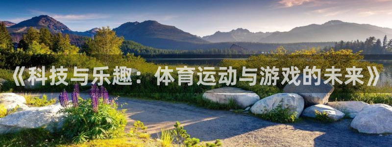《科技与乐趣：体育运动与游戏的未来》