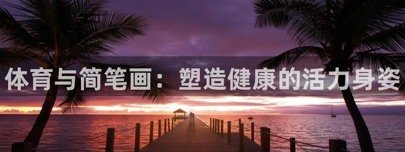 体育与简笔画：塑造健康的活力身姿