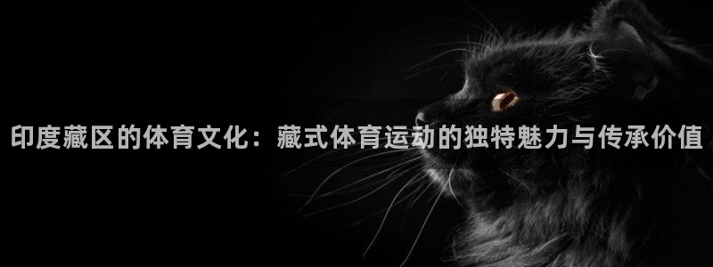 印度藏区的体育文化：藏式体育运动的独特魅力与传承价值