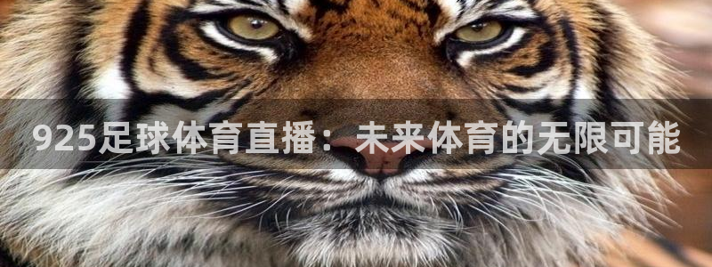 925足球体育直播：未来体育的无限可能