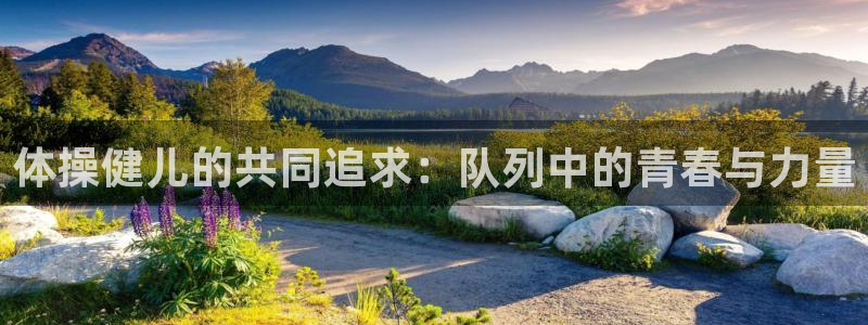 体操健儿的共同追求：队列中的青春与力量
