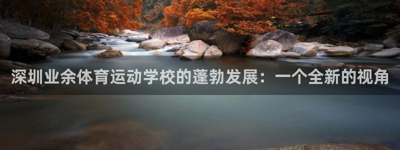 深圳业余体育运动学校的蓬勃发展：一个全新的视角