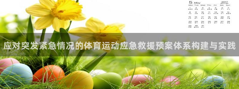 应对突发紧急情况的体育运动应急救援预案体系构建与实践