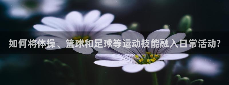 如何将体操、篮球和足球等运动技能融入日常活动?