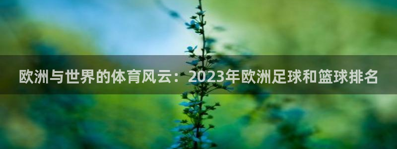 欧洲与世界的体育风云：2023年欧洲足球和篮球排名