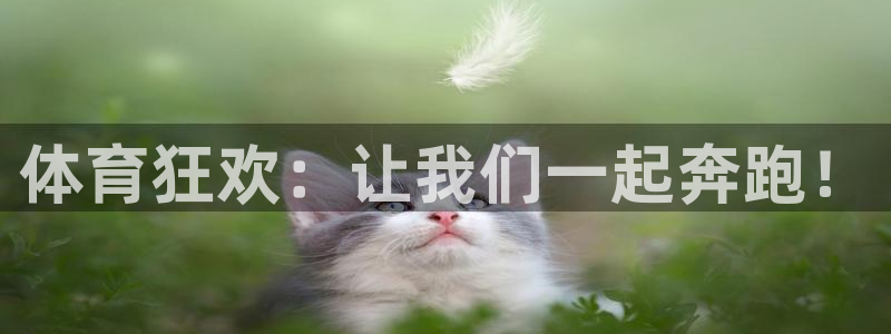 体育狂欢：让我们一起奔跑！