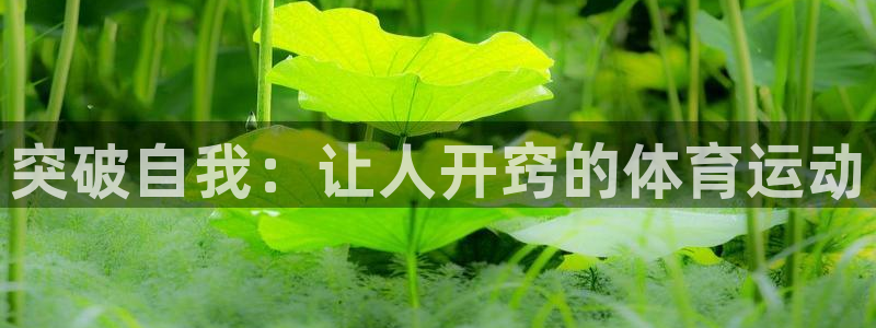 突破自我：让人开窍的体育运动