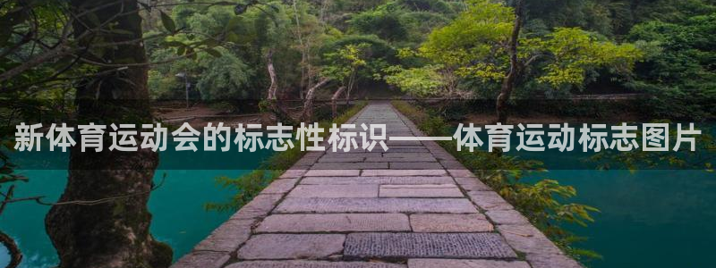新体育运动会的标志性标识——体育运动标志图片