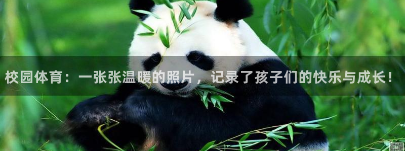 校园体育：一张张温暖的照片，记录了孩子们的快乐与成长！