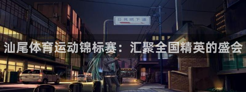 汕尾体育运动锦标赛：汇聚全国精英的盛会