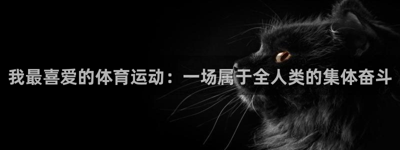 我最喜爱的体育运动：一场属于全人类的集体奋斗