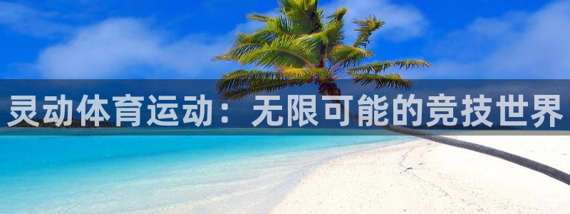 灵动体育运动：无限可能的竞技世界