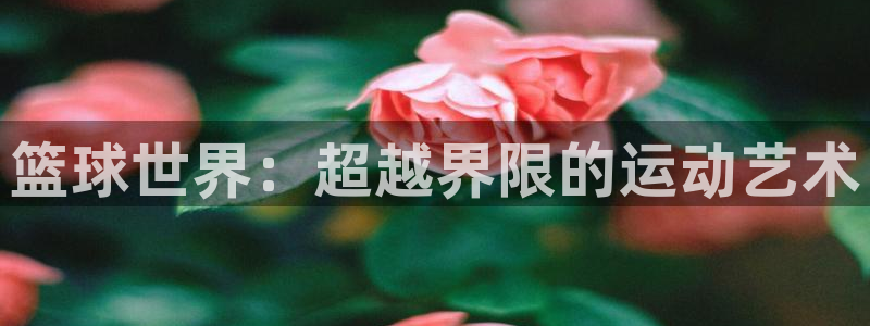 篮球世界：超越界限的运动艺术