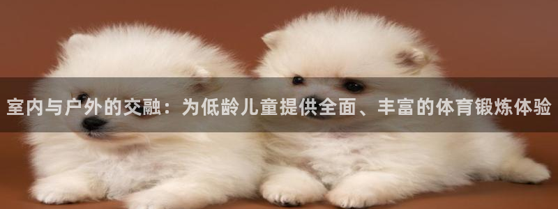 室内与户外的交融：为低龄儿童提供全面、丰富的体育锻炼体验