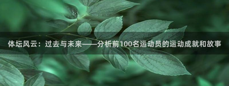 体坛风云：过去与未来——分析前100名运动员的运动成就和故事