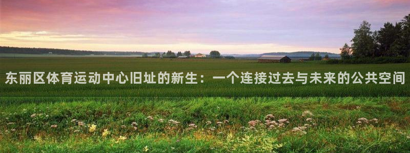 东丽区体育运动中心旧址的新生：一个连接过去与未来的公共空间