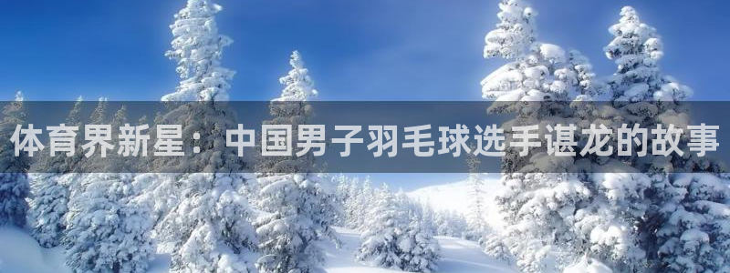 体育界新星：中国男子羽毛球选手谌龙的故事