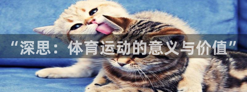 “深思：体育运动的意义与价值”