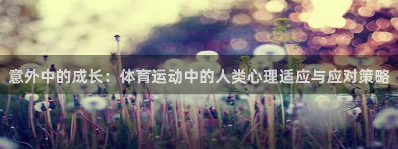 意外中的成长：体育运动中的人类心理适应与应对策略