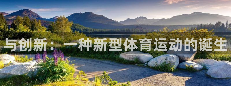 与创新：一种新型体育运动的诞生