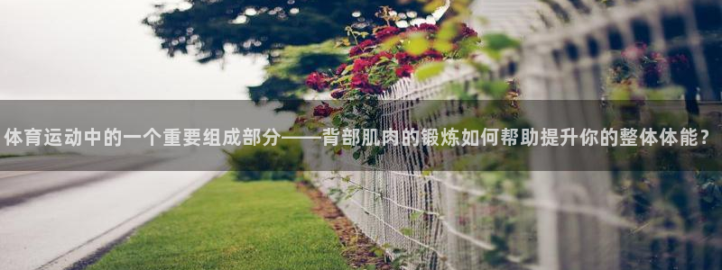 体育运动中的一个重要组成部分——背部肌肉的锻炼如何帮助提升你的整体体能？